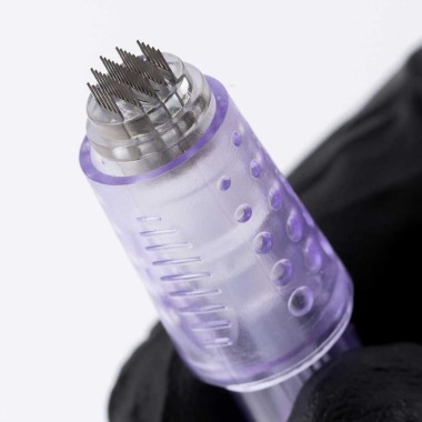 42 Punte - Cartucce EZ VENUS Microneedle - Ø 0,25mm - L 2,0mm - 20pz. 2